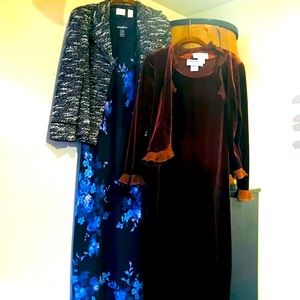 Elegant (NWOT) Women’s Petite Dresses